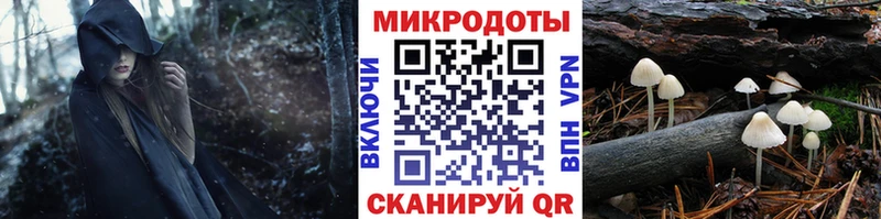 Галлюциногенные грибы Cubensis  Купить закладки  Богучар 